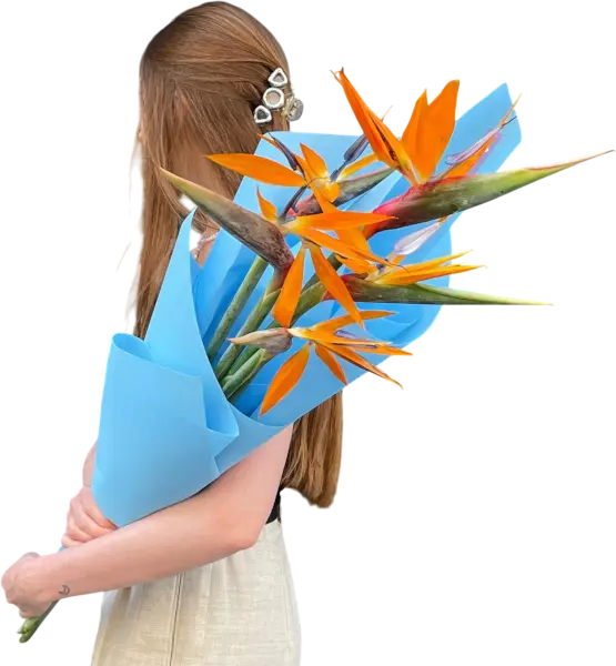 Екзотичні квіти з доставкою по Києву – букети від Flower Market.